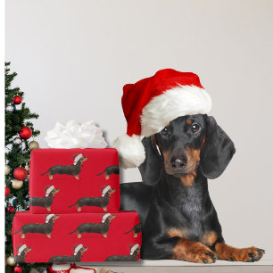Papier Cadeau Dachshund Chien Noël Red Santa Hat