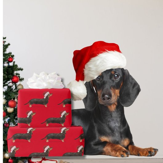 Papier Cadeau Dachshund Chien Noël Red Santa Hat