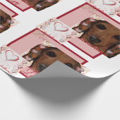 Papier Cadeau Dachshund Rouge   (Coin)