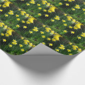 Papier Cadeau Daffodiques de printemps (Coin)