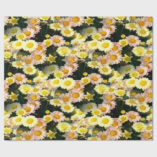Papier Cadeau Daisies Galore (Plat)