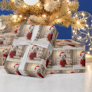 Papier Cadeau Dalmatien de Noël dans un pull rouge