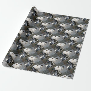 Papier Cadeau Dalmatien - La reina de Cindy