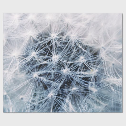 Papier Cadeau Dandelions 4 Papier à envelopper (Plat)