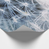 Papier Cadeau Dandelions 4 Papier à envelopper (Coin)