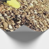 Papier Cadeau Danny Duck the Pirate Wrapper Paper (Coin)