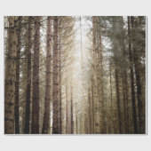 PAPIER CADEAU DANS LA FORÊT (Plat)