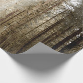 PAPIER CADEAU DANS LA FORÊT (Coin)