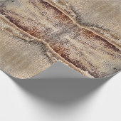 Papier Cadeau Date Palm Tree Trunk Texture Fermeture Photo (Coin)