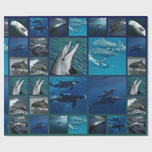 Papier Cadeau Dauphins et collage de baleines (Plat)