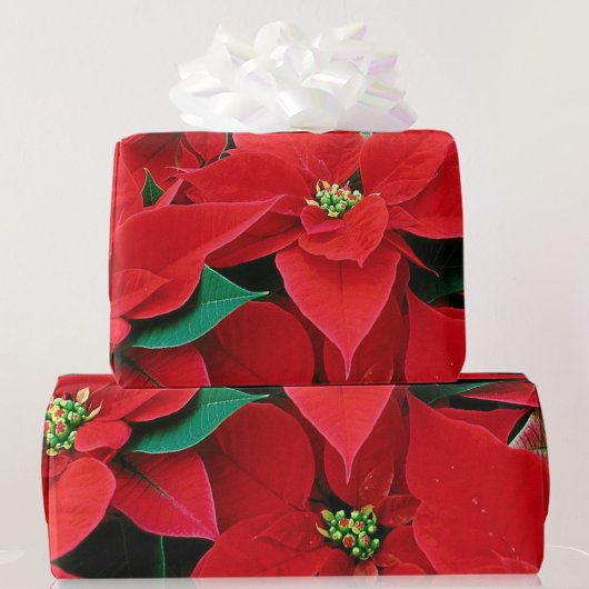 Papier cadeau de Noël Red Poinsettia