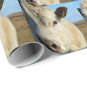 Papier Cadeau De vache fin (Coin rond)