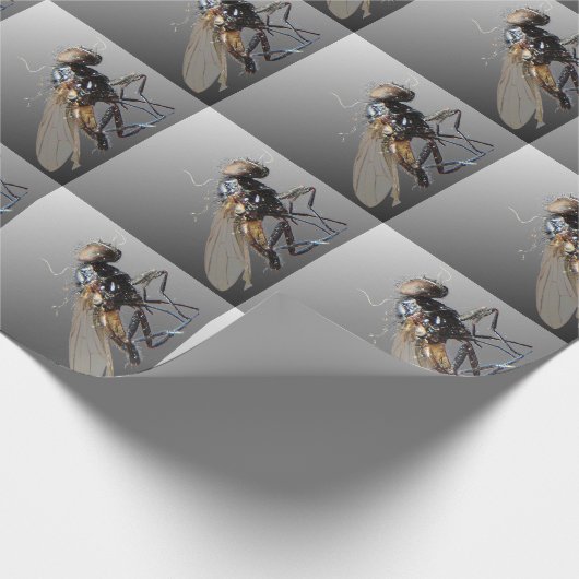 Papier Cadeau Dead Fly (Coin)