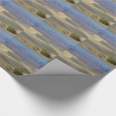 Papier Cadeau Death Valley 5 (Coin)