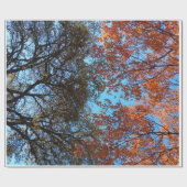 Papier Cadeau Début de la chute (Plat)