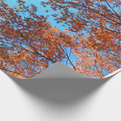 Papier Cadeau Début de la chute (Coin)