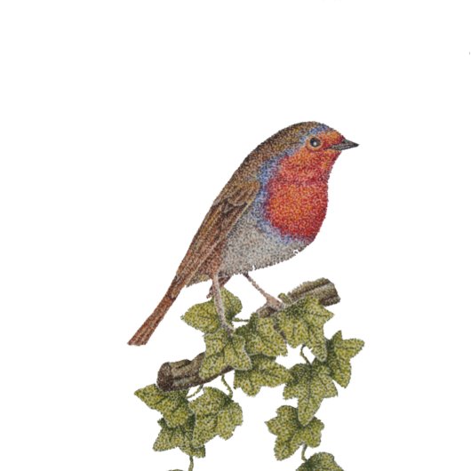 Papier Cadeau décoré noël arbre robin lierre feuille saisonnier