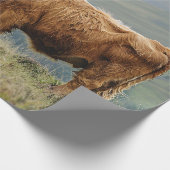 Papier Cadeau Découpage du matin de la vache de Highland (Coin)