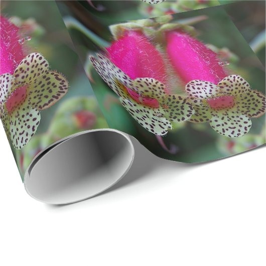 Papier Cadeau Design de fleurs léopard (Coin rond)