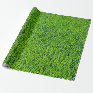 Papier Cadeau Design d'herbe verte