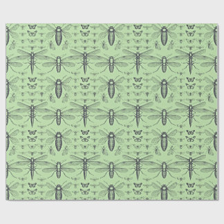 Papier Cadeau Design insectes vintage noir sur vert sauge doux