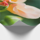 Papier Cadeau désir déployé (Coin)