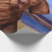Papier Cadeau Dessin drôle Vizsla Pointer (Coin)