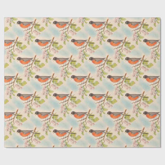 Papier Cadeau Dessin vintage de Robin (Plat)