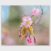 Papier Cadeau Deux Fleurs De Sakura Sur Le pourboire D'Une Brind (Plat)
