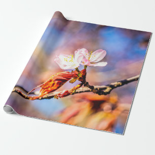 Papier Cadeau Deux Fleurs Extraordinaires Sakura. Rose, Arrière 