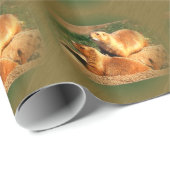 Papier Cadeau Deux Groundhogs sortant le jour de Groundhogs (Coin rond)