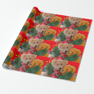 Papier Cadeau Deux nounours avec verdure et arc