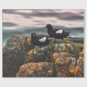 PAPIER CADEAU DEUX OISEAUX NOIRS (Plat)