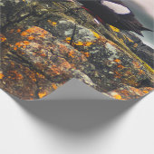 PAPIER CADEAU DEUX OISEAUX NOIRS (Coin)