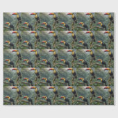 Papier Cadeau Deux Oiseaux Toucans Tropicaux, (Plat)