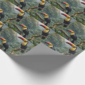 Papier Cadeau Deux Oiseaux Toucans Tropicaux, (Coin)