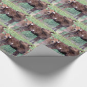 Papier Cadeau Deux Petits Heifers (Coin)