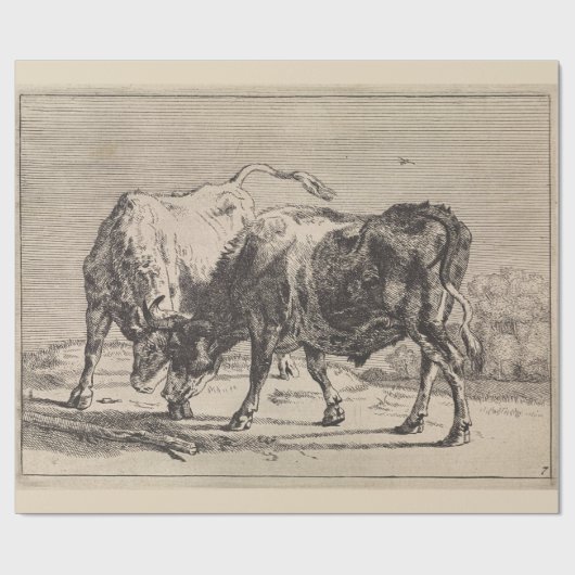 Papier Cadeau Deux taureaux de combat (par Paulus Potter) (Plat)
