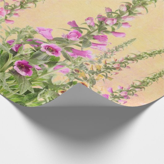 Papier Cadeau Digitale de digitales (Coin)