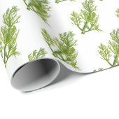 Papier Cadeau Dill Art (Coin rond)