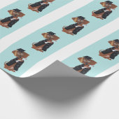 Papier Cadeau Diplômé de Dachshund (Coin)