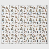 Papier Cadeau Divers Motifs de chats (Plat)