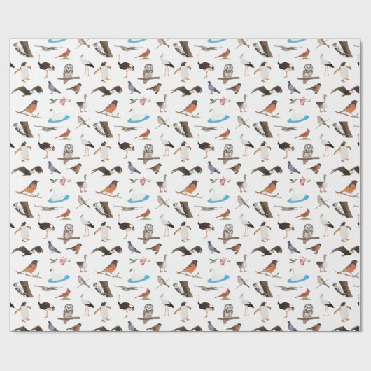 Papier Cadeau Divers oiseaux (Plat)