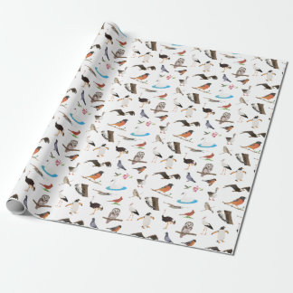 Papier Cadeau Divers oiseaux