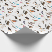 Papier Cadeau Divers oiseaux (Coin)