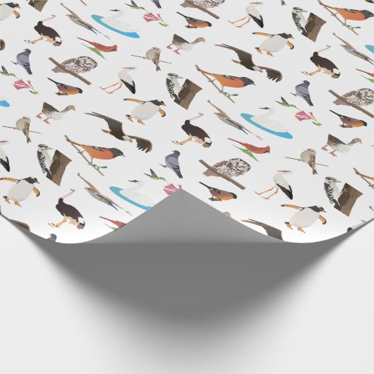 Papier Cadeau Divers oiseaux (Coin)
