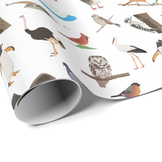 Papier Cadeau Divers oiseaux (Coin rond)