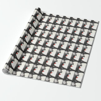 Papier Cadeau Document d'enrobage Alex Foundation
