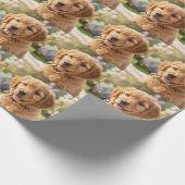 Papier Cadeau Dog cat pet name photo template simple minimal  (Coin)