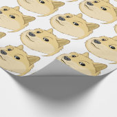 Papier Cadeau Doge (Coin)